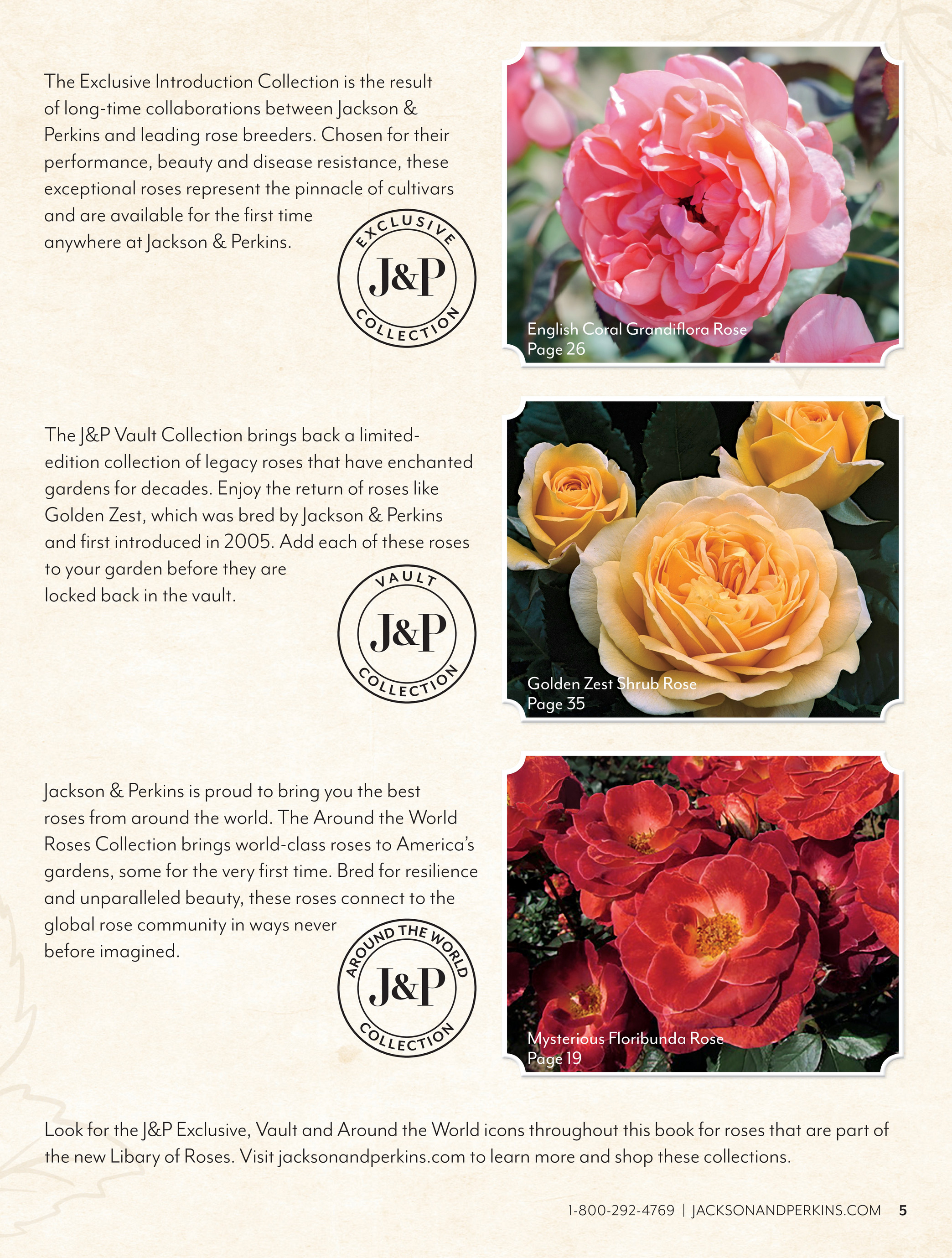 Jackson & Perkins - JP 2024 Spring ecatalog - Mysterious